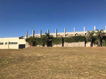 Cristais Paulista + 150 m Salao Venda R$4.800.000,00 Area do terreno 24000.00m2 Cristais Paulista + 150 m Salao Venda R$4.800.000,00 Area do terreno 24000.00m2