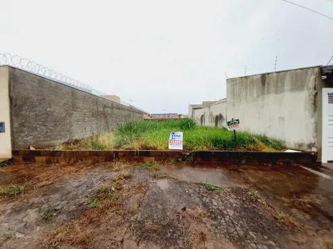 Terrenos / Padrão em Ribeirão Preto , Comprar por R$230.000,00
