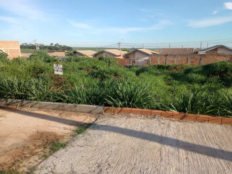 Terrenos / Padrão em Ribeirão Preto , Comprar por R$116.000,00