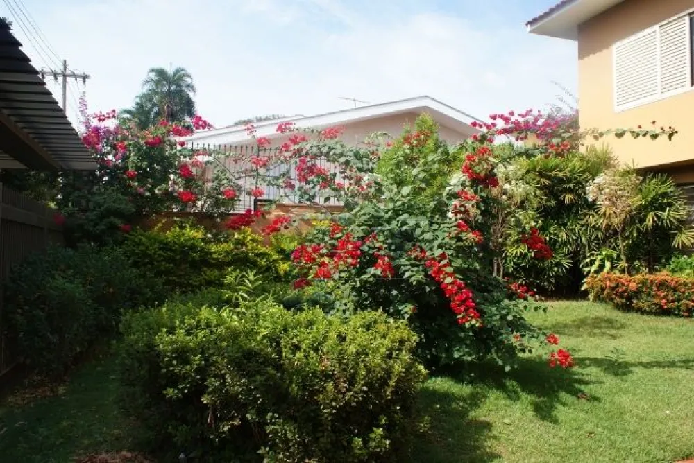 Comprar Casas / Padrão em Ribeirão Preto R$ 1.050.000,00 - Foto 3