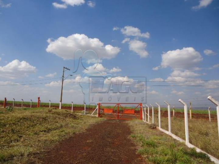 Alugar Comercial / Salão/Galpão em Cravinhos R$ 48.000,00 - Foto 18