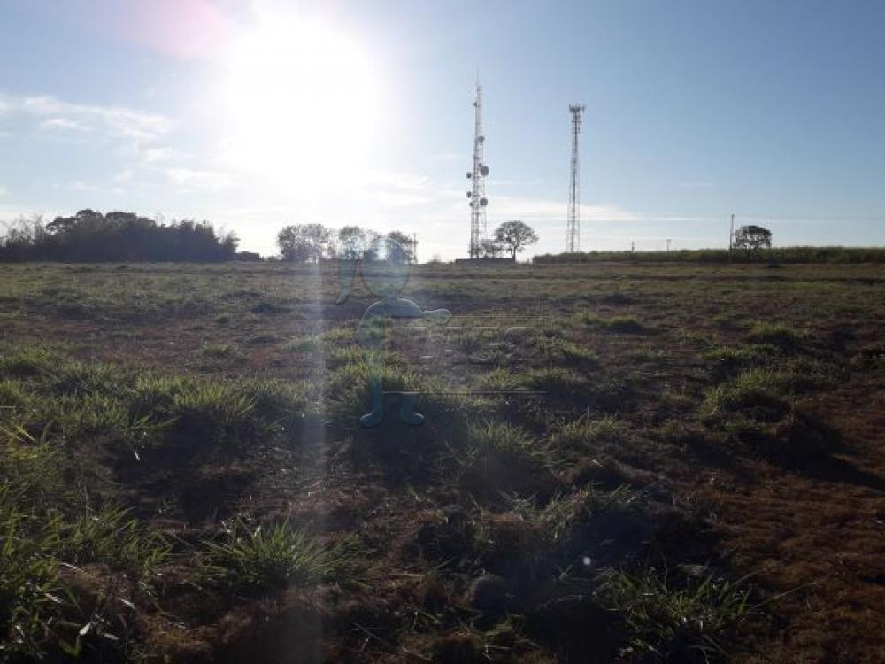 Comprar Terrenos / Padrão em Bonfim Paulista R$ 1.100.000,00 - Foto 3