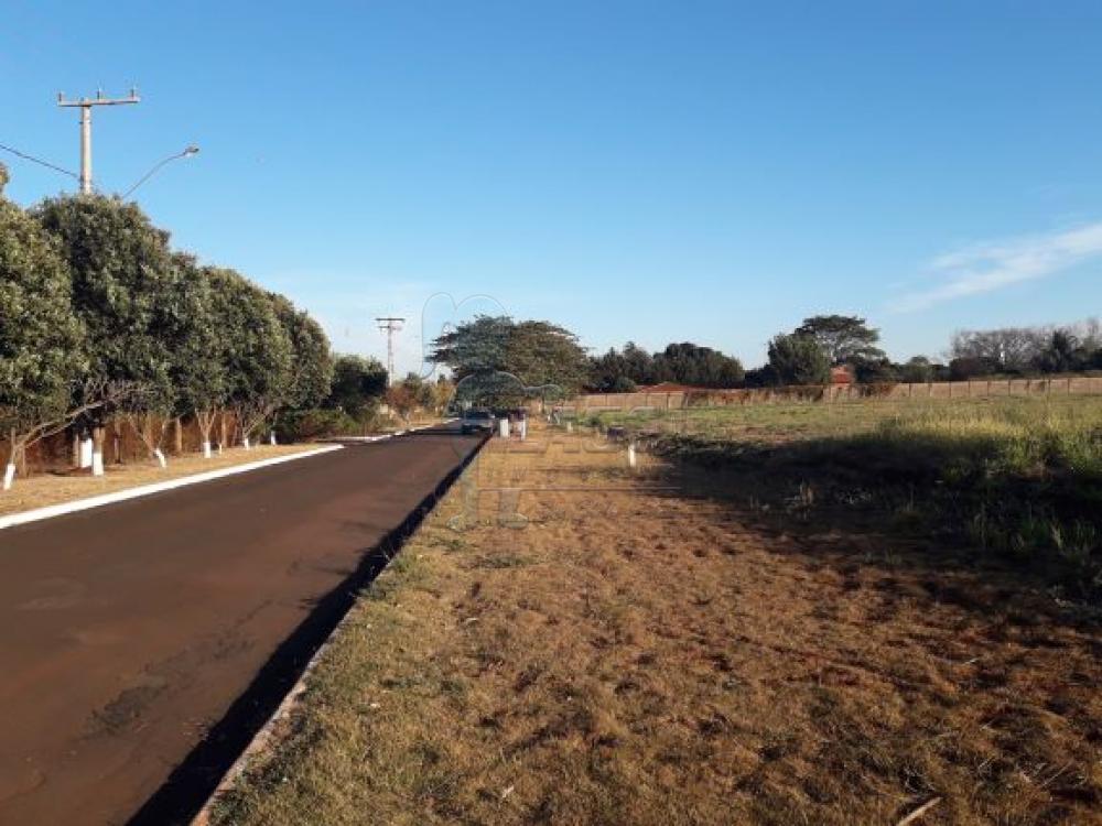 Comprar Terrenos / Padrão em Bonfim Paulista R$ 1.100.000,00 - Foto 4