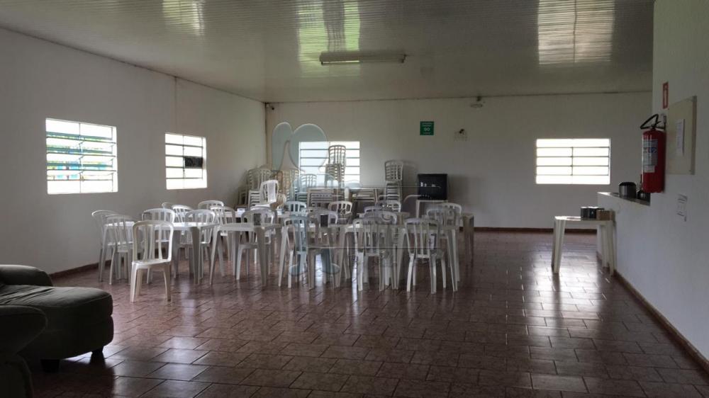 Comprar Comercial / Salão / Galpão / Armazém em São Simão R$ 18.000.000,00 - Foto 5