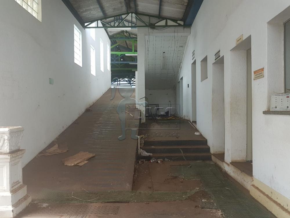 Alugar Comercial / Casa Comercial em Ribeirão Preto R$ 30.000,00 - Foto 14