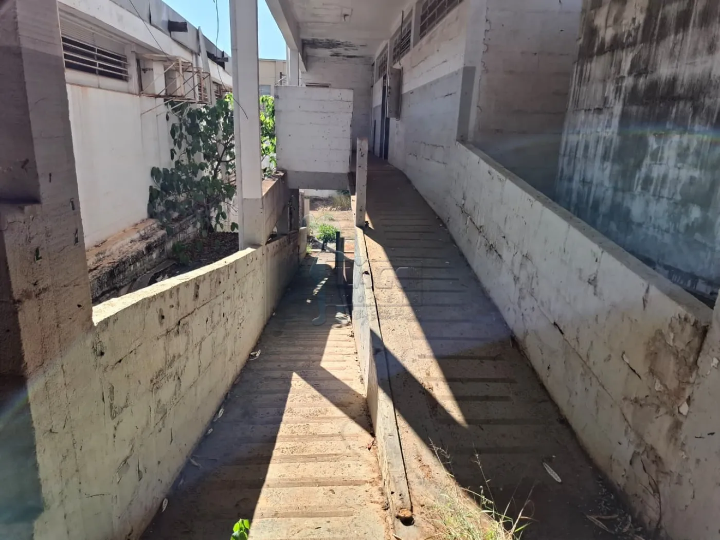 Alugar Comercial padrão / Casa comercial em Ribeirão Preto R$ 30.000,00 - Foto 4