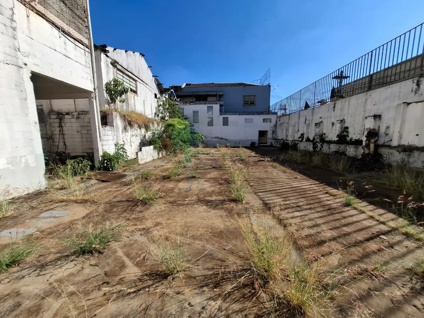 Alugar Comercial padrão / Casa comercial em Ribeirão Preto R$ 30.000,00 - Foto 1