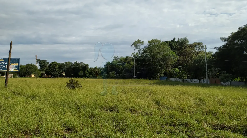 Alugar Comercial / Terreno Comercial em Ribeirão Preto R$ 23.000,00 - Foto 4