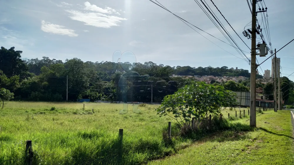 Alugar Comercial / Terreno Comercial em Ribeirão Preto R$ 23.000,00 - Foto 8