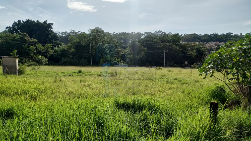 Alugar Comercial / Terreno Comercial em Ribeirão Preto R$ 23.000,00 - Foto 9