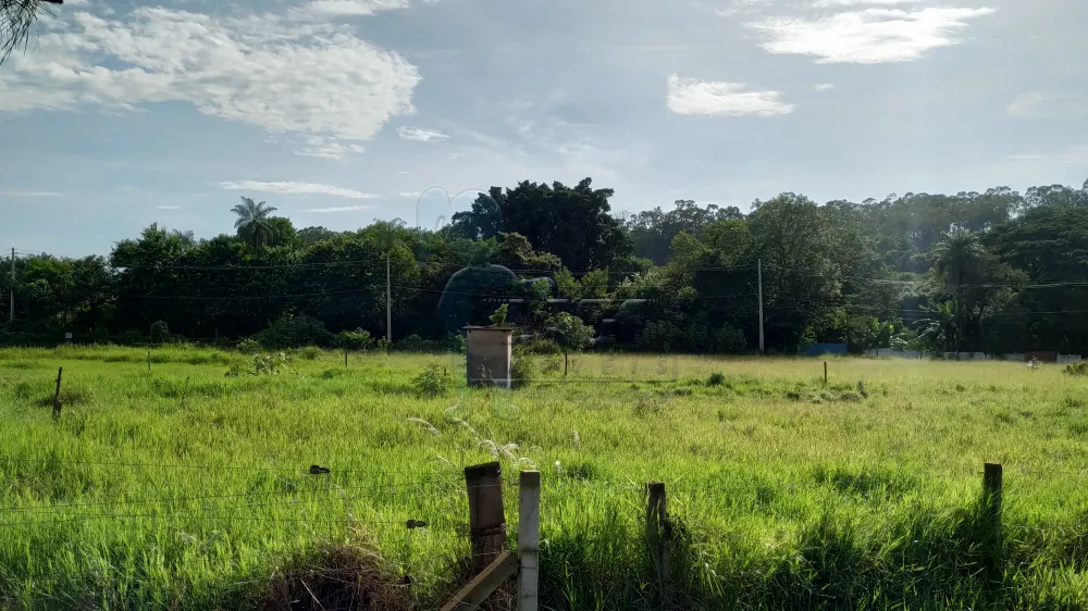 Alugar Comercial / Terreno Comercial em Ribeirão Preto R$ 23.000,00 - Foto 10