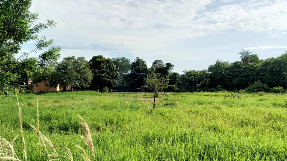 Alugar Comercial / Terreno Comercial em Ribeirão Preto R$ 23.000,00 - Foto 11