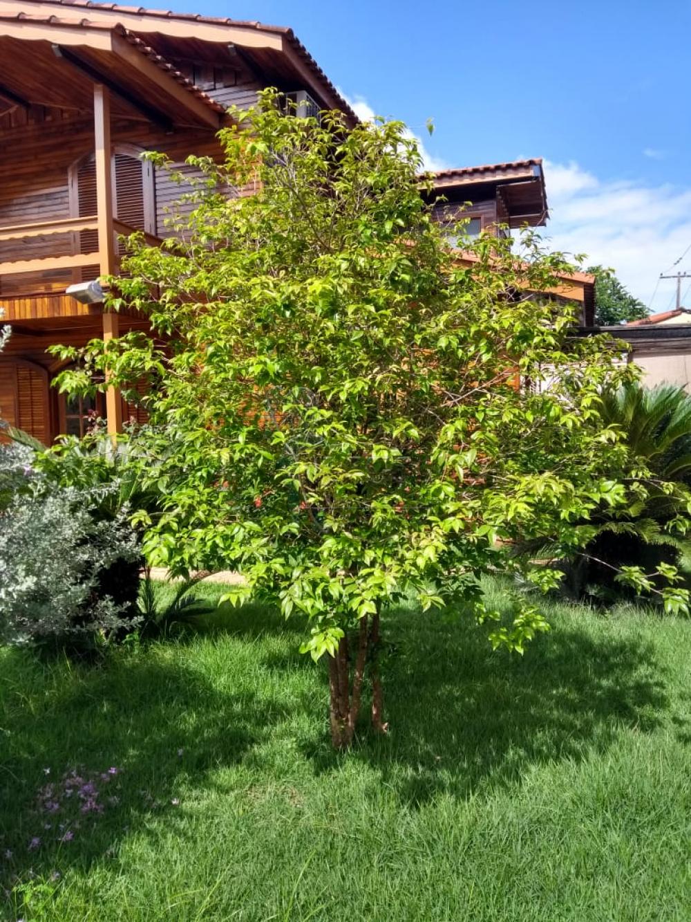 Alugar Casas / Padrão em Ribeirão Preto R$ 6.500,00 - Foto 2