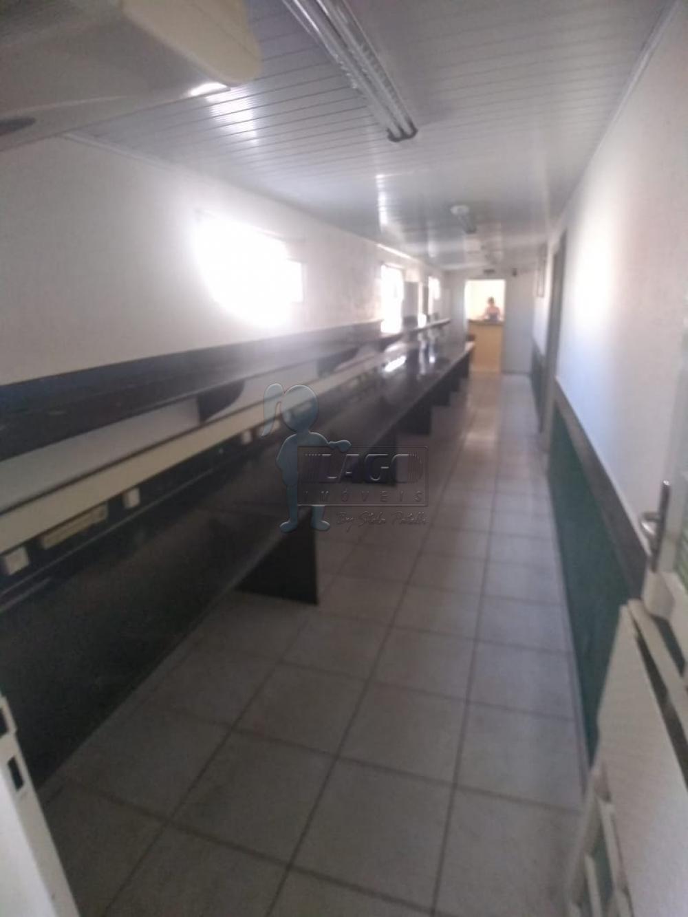 Alugar Comercial padrão / Casa comercial em Ribeirão Preto R$ 2.800,00 - Foto 8