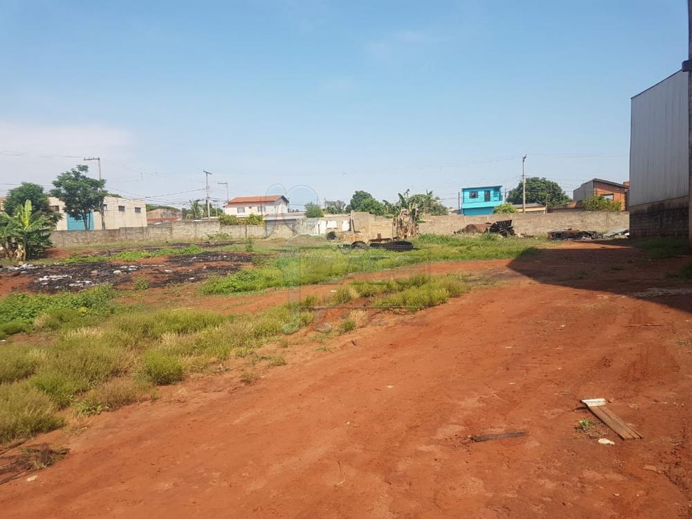 Alugar Comercial / Salão / Galpão em Ribeirão Preto R$ 10.000,00 - Foto 4