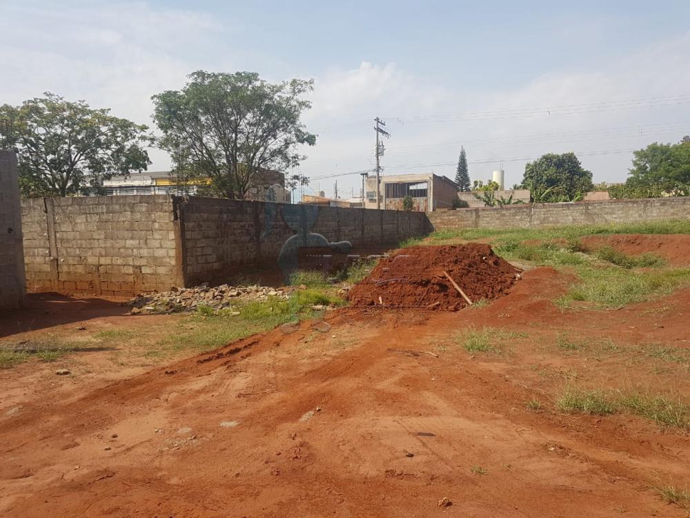 Alugar Comercial / Salão / Galpão em Ribeirão Preto R$ 10.000,00 - Foto 6