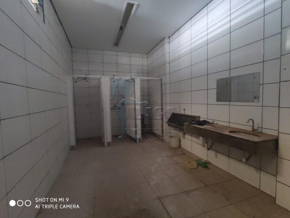 Alugar Comercial / Casa Comercial em Ribeirão Preto R$ 18.500,00 - Foto 13