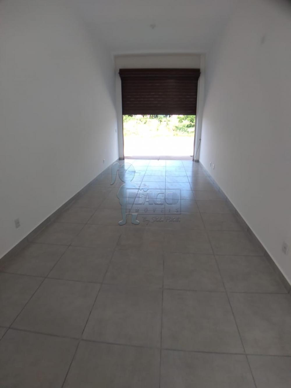 Alugar Comercial / Salão/Galpão/Armazém em Sertãozinho R$ 500,00 - Foto 2