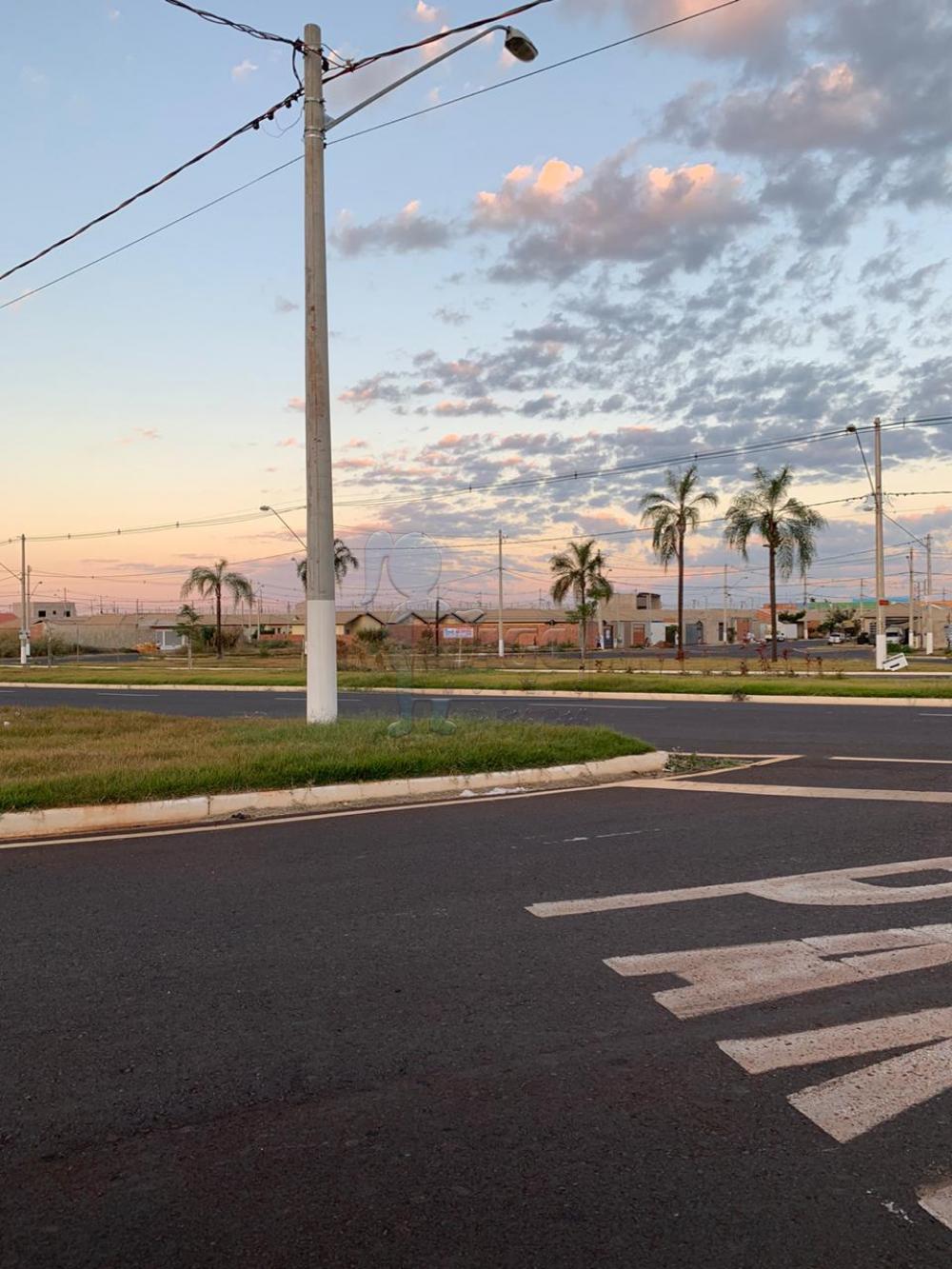 Alugar Terrenos / Padrão em Ribeirão Preto R$ 10.000,00 - Foto 1