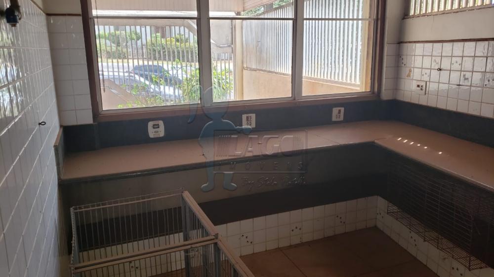 Alugar Comercial / Casa Comercial em Ribeirão Preto R$ 5.000,00 - Foto 30