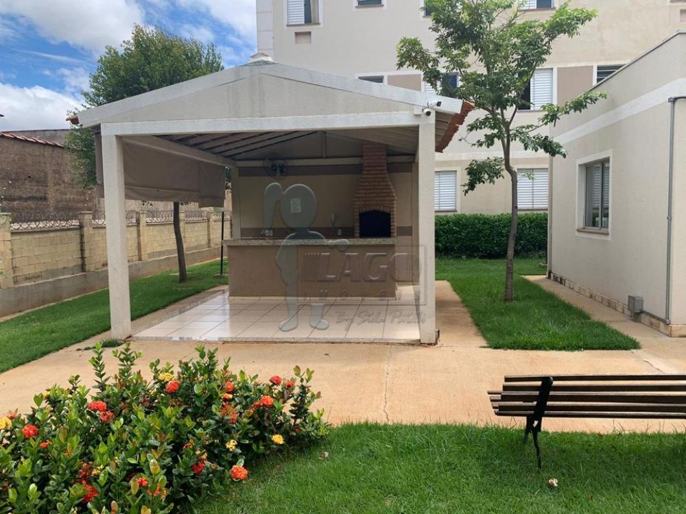 Alugar Apartamentos / Padrão em Ribeirão Preto R$ 900,00 - Foto 11