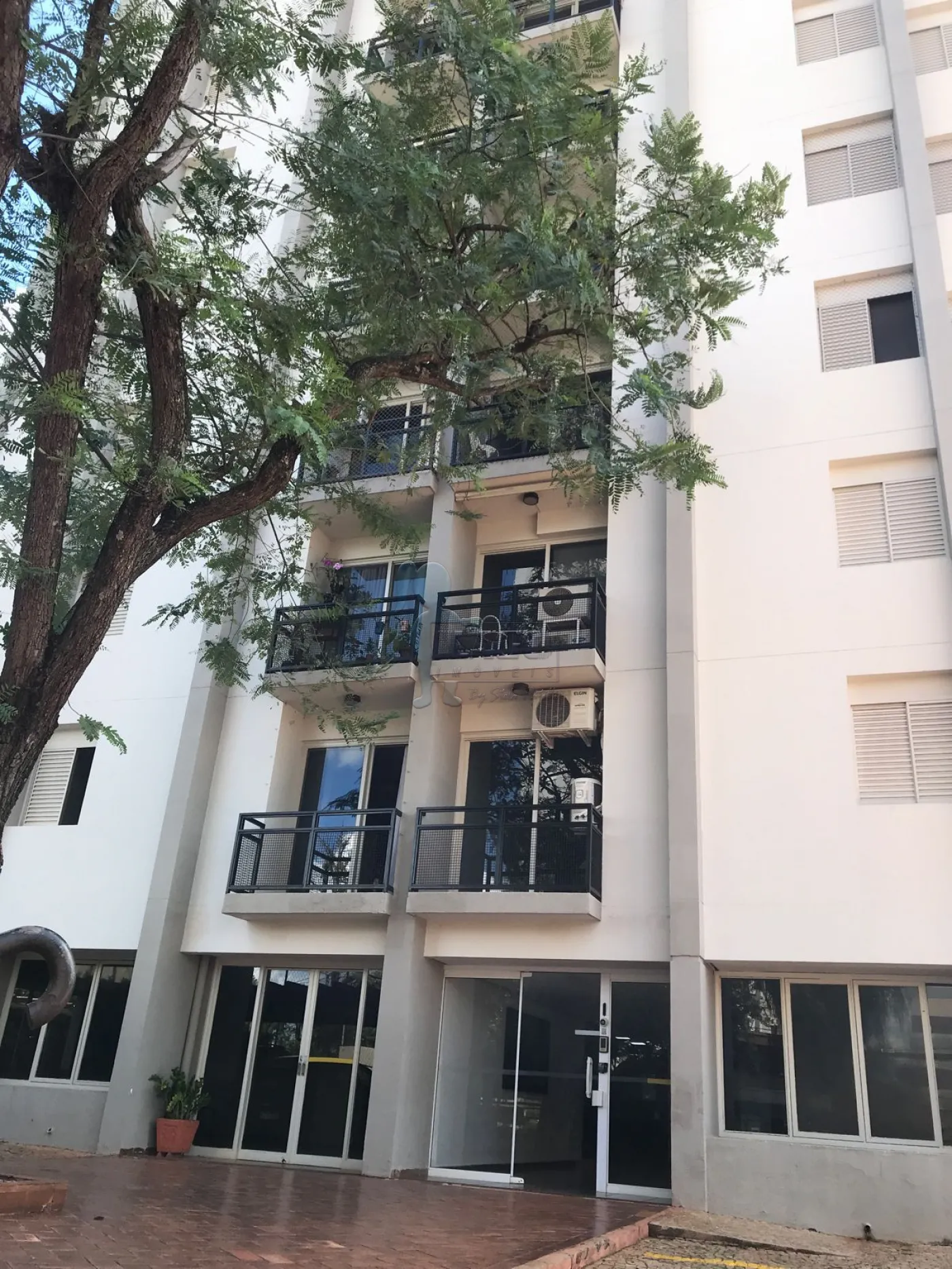 Alugar Apartamentos / Padrão em Ribeirão Preto R$ 850,00 - Foto 6