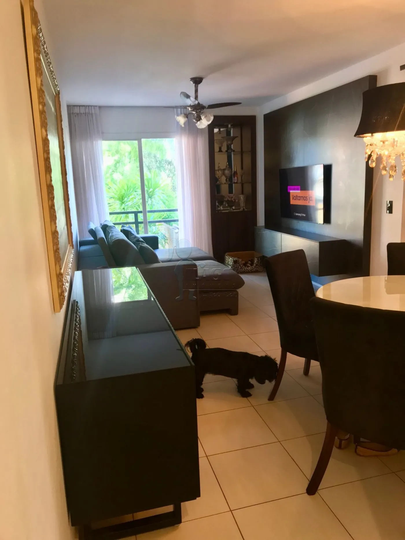 Alugar Apartamentos / Padrão em Ribeirão Preto R$ 850,00 - Foto 13