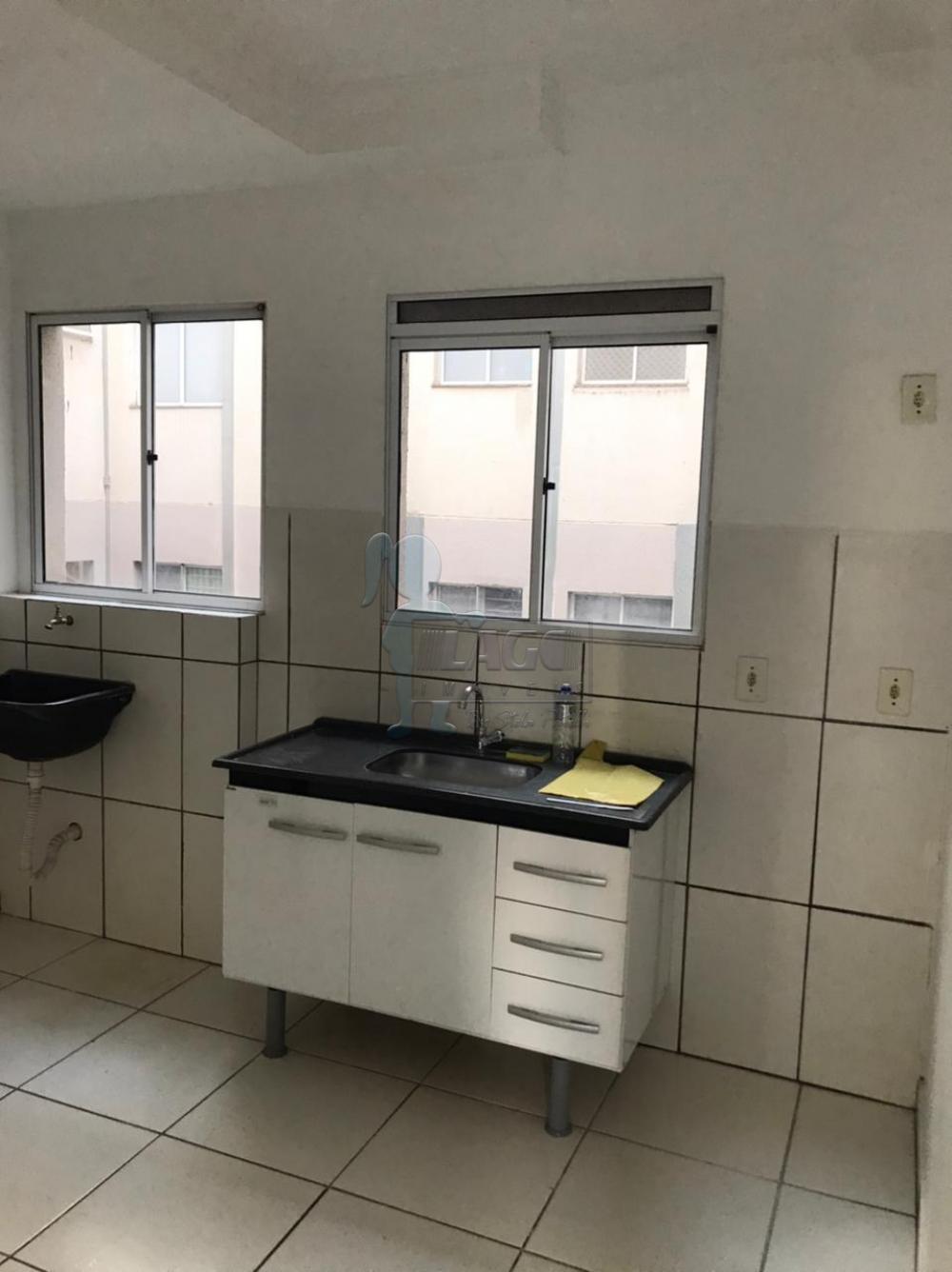 Alugar Apartamentos / Padrão em Ribeirão Preto R$ 500,00 - Foto 5