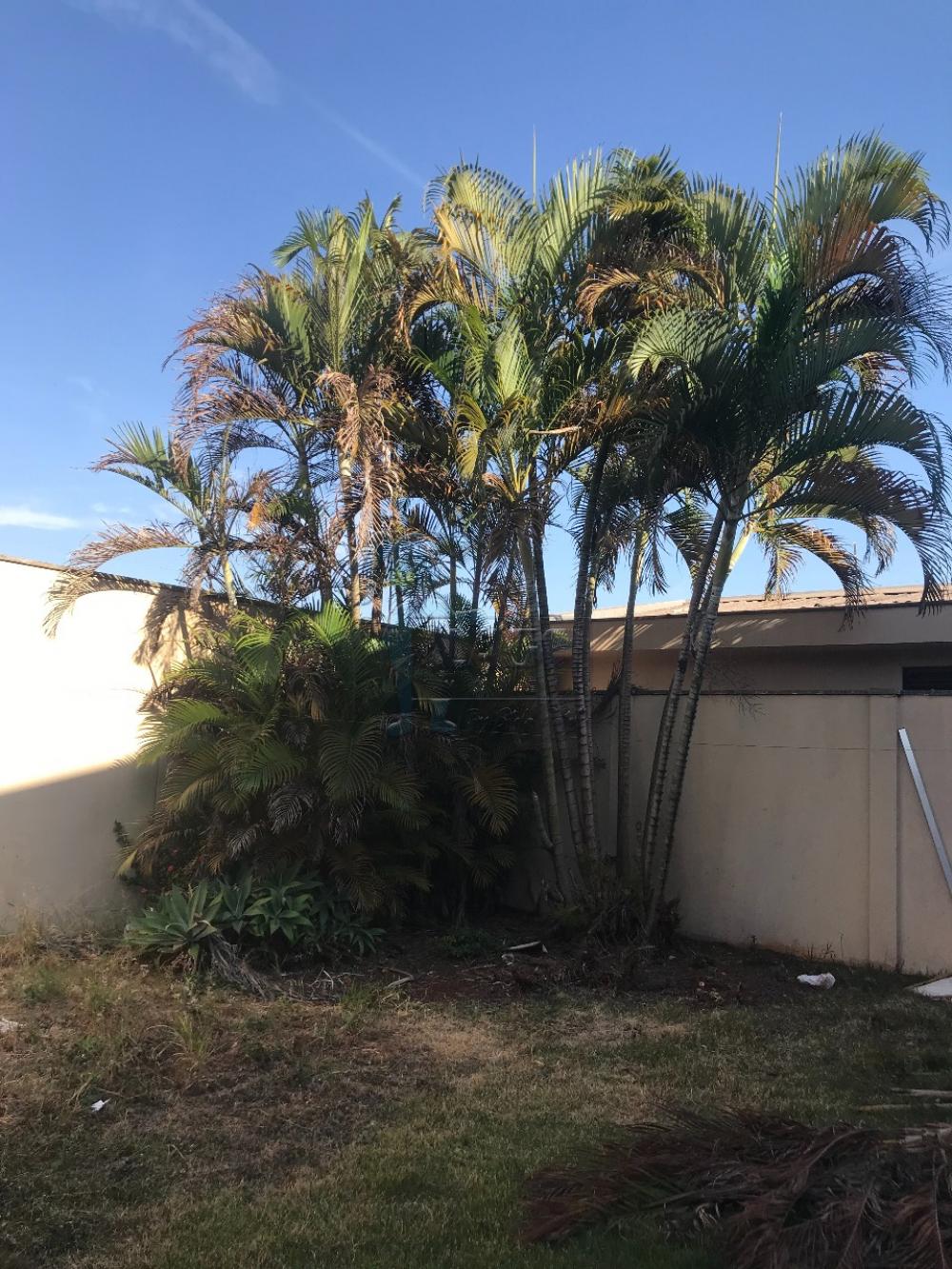 Comprar Comercial / Casa Comercial em Ribeirão Preto R$ 450.000,00 - Foto 1