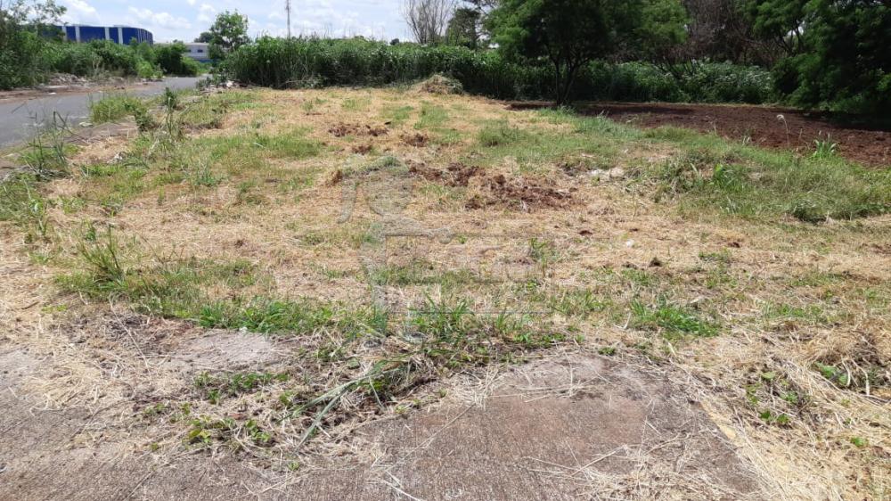 Comprar Comercial / Terreno Comercial em Ribeirão Preto R$ 140.000,00 - Foto 1