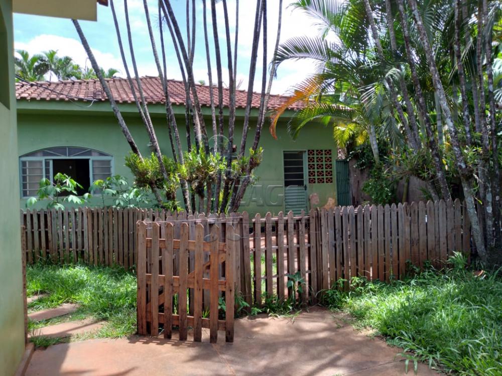 Comprar Rurais / Fazenda / Sítio em São Simão R$ 1.500.000,00 - Foto 1