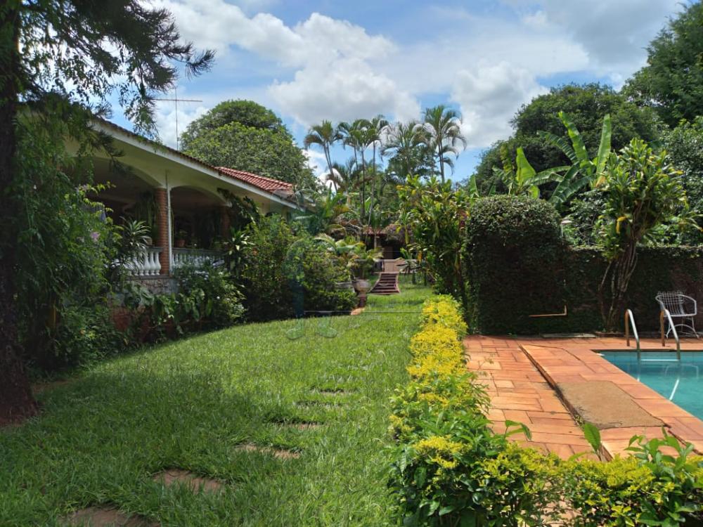 Comprar Rurais / Fazenda / Sítio em São Simão R$ 1.500.000,00 - Foto 21