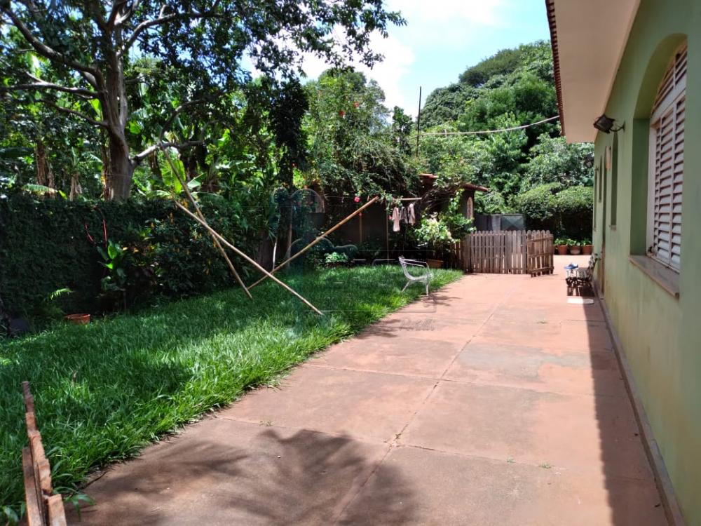 Comprar Rurais / Fazenda / Sítio em São Simão R$ 1.500.000,00 - Foto 24