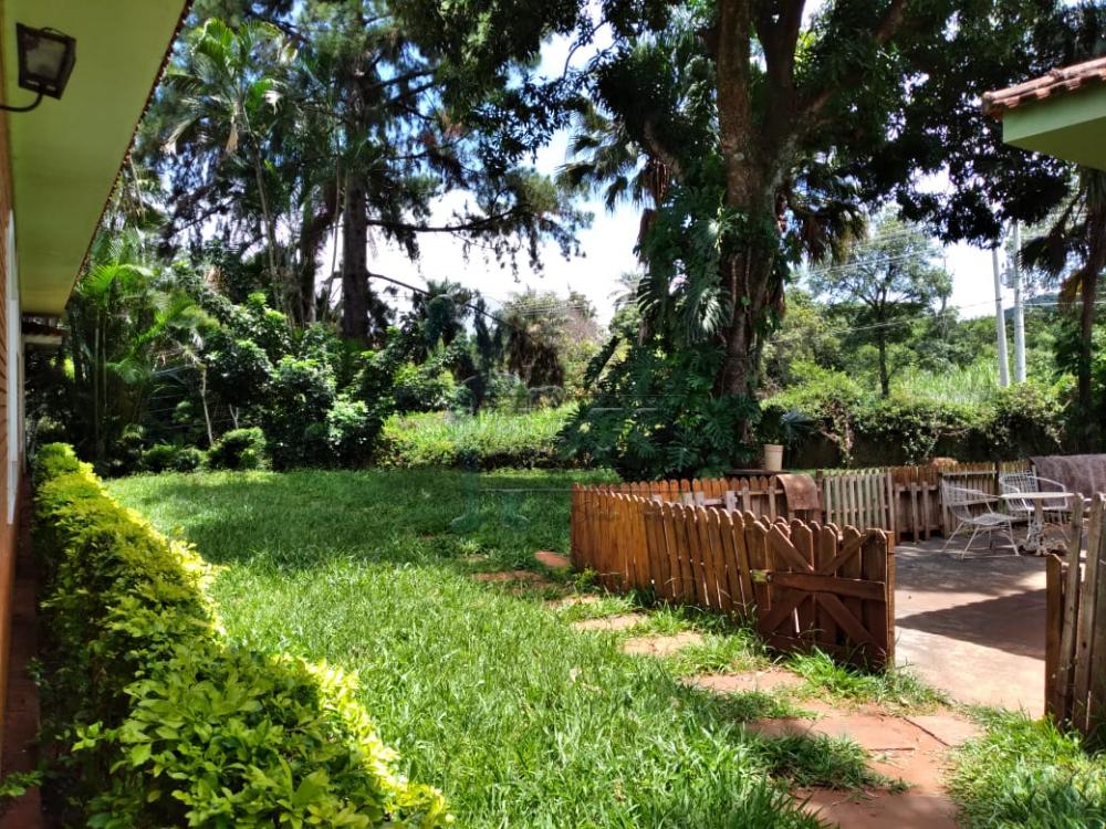 Comprar Rurais / Fazenda / Sítio em São Simão R$ 1.500.000,00 - Foto 25