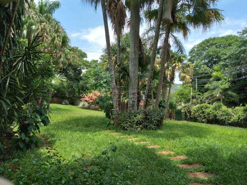 Comprar Rurais / Fazenda / Sítio em São Simão R$ 1.500.000,00 - Foto 26