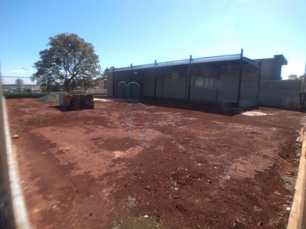 Alugar Comercial / Terreno Comercial em Ribeirão Preto R$ 11.000,00 - Foto 3