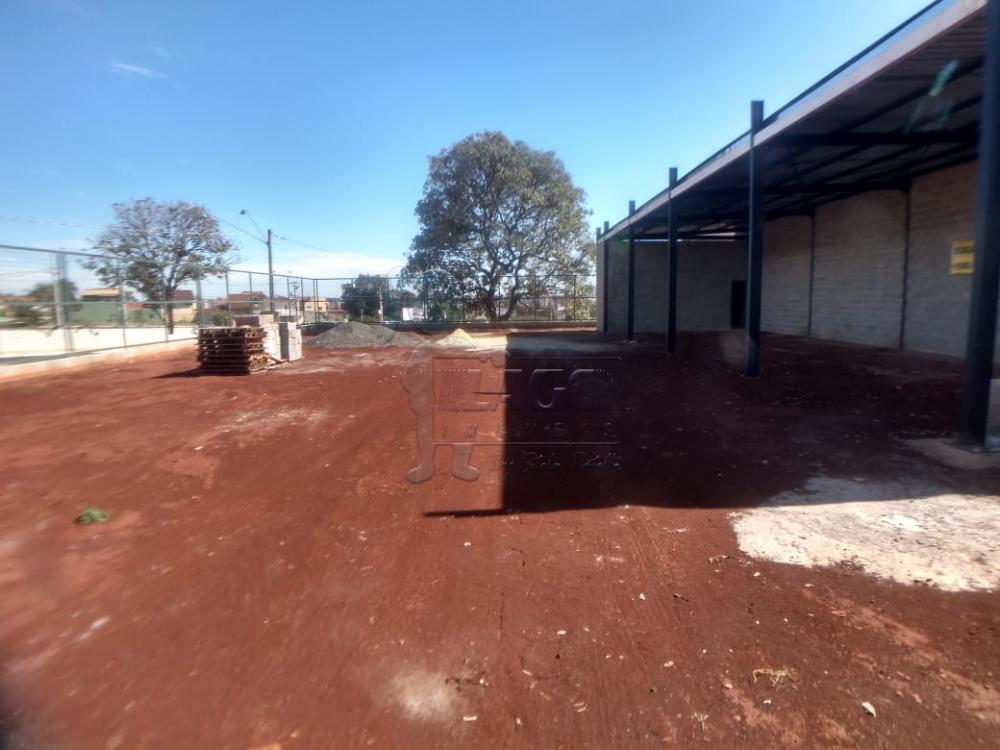 Alugar Comercial / Terreno Comercial em Ribeirão Preto R$ 11.000,00 - Foto 5