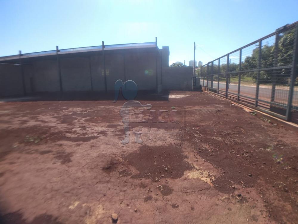 Alugar Comercial / Terreno Comercial em Ribeirão Preto R$ 11.000,00 - Foto 7