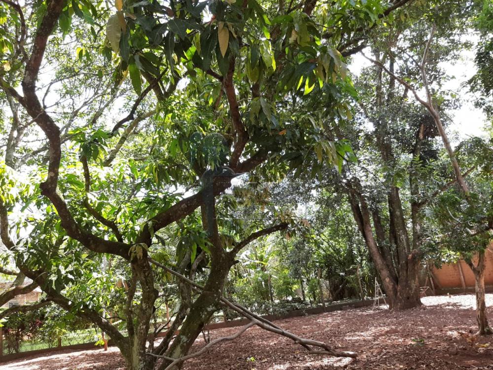 Alugar Casas / Condomínio em Ribeirão Preto R$ 6.500,00 - Foto 7