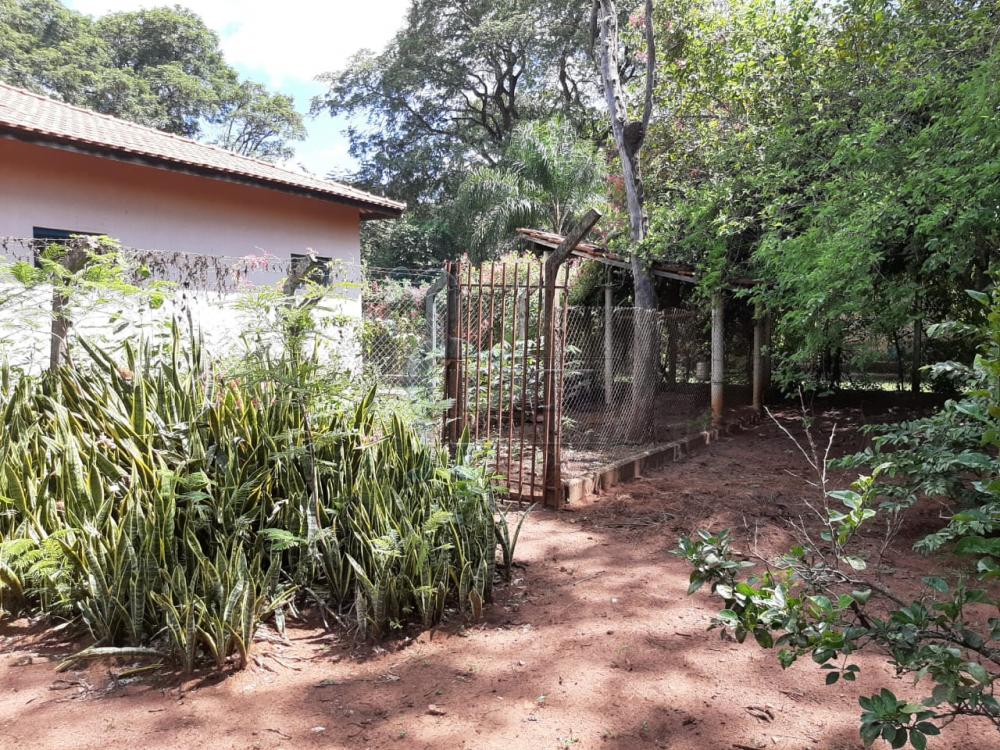 Alugar Casas / Condomínio em Ribeirão Preto R$ 6.500,00 - Foto 8