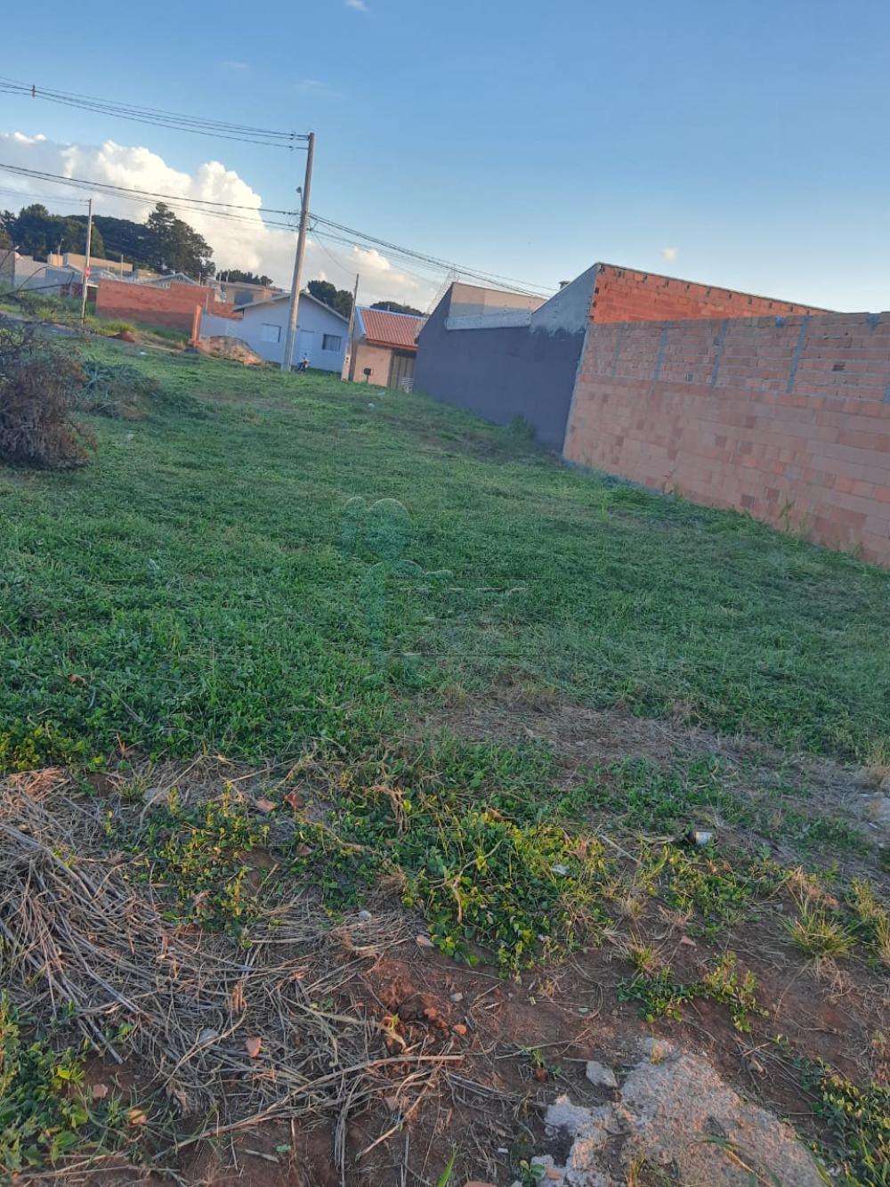 Alugar Terrenos / Padrão em Ribeirão Preto R$ 3.000,00 - Foto 6