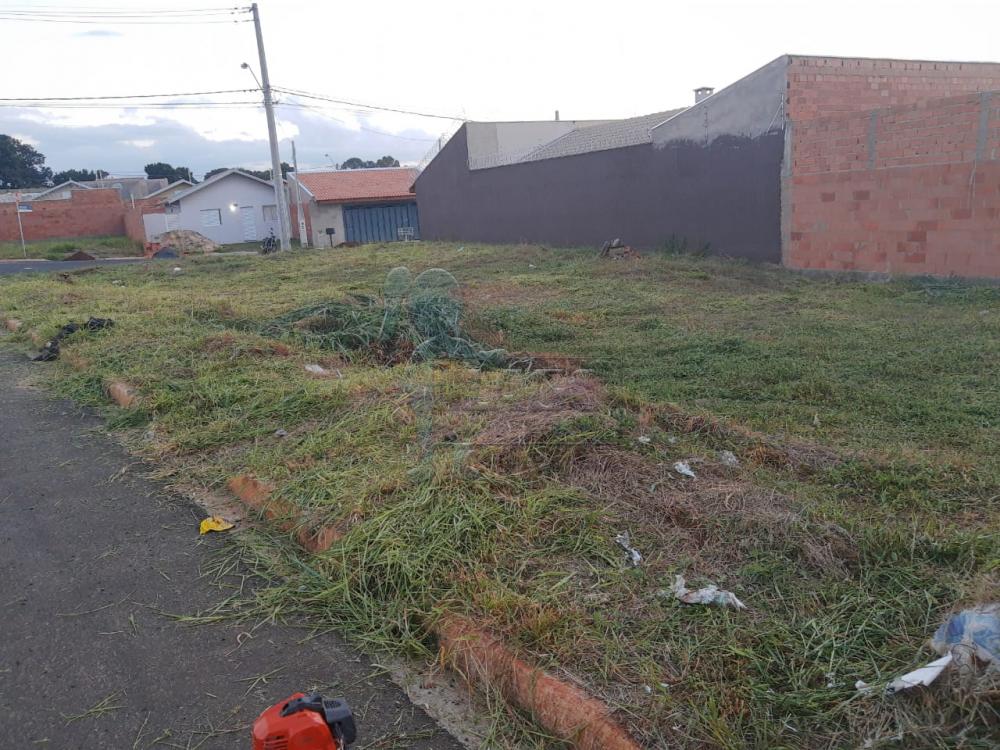 Alugar Terrenos / Padrão em Ribeirão Preto R$ 3.000,00 - Foto 5