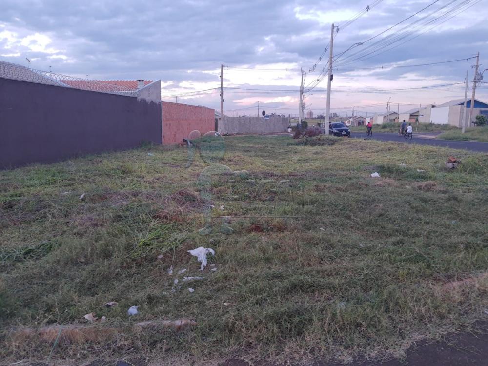 Alugar Terrenos / Padrão em Ribeirão Preto R$ 3.000,00 - Foto 4