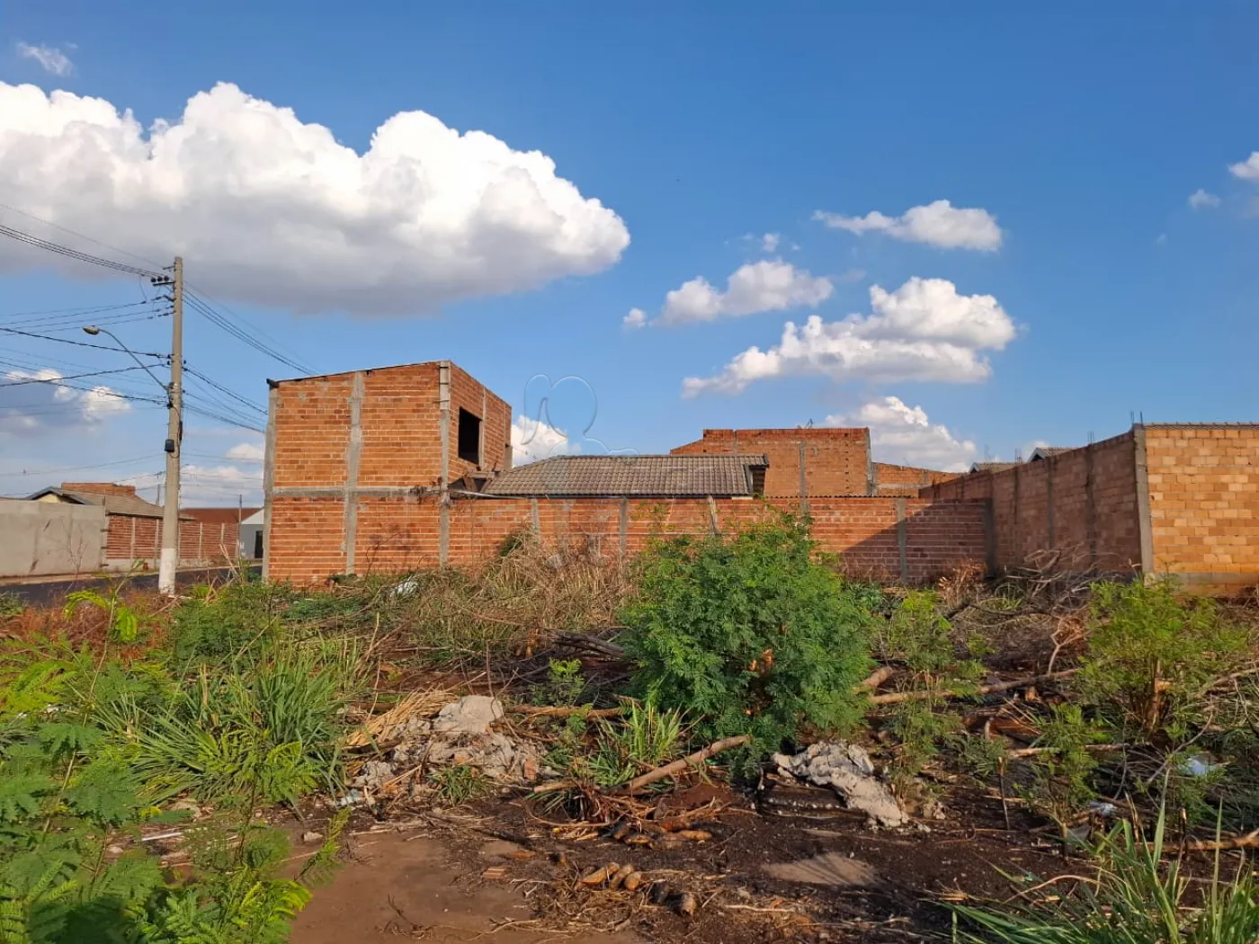 Alugar Terreno / Padrão em Ribeirão Preto R$ 1.800,00 - Foto 1