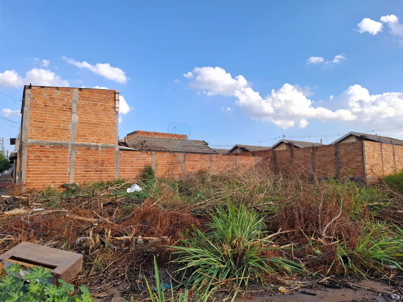 Alugar Terreno / Padrão em Ribeirão Preto R$ 1.800,00 - Foto 5