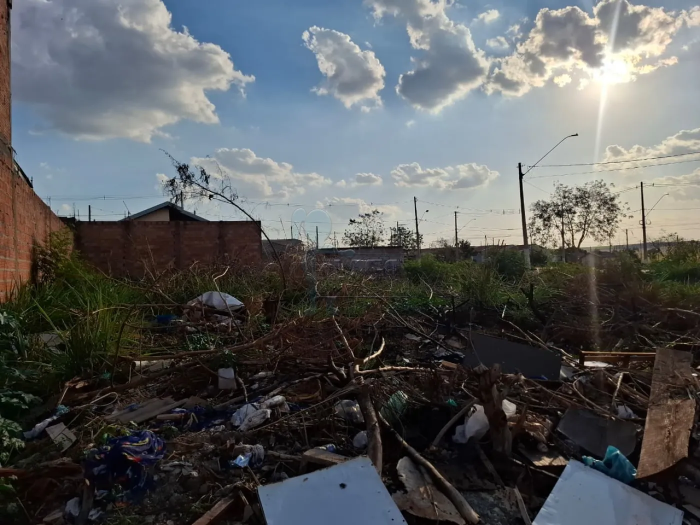 Alugar Terreno / Padrão em Ribeirão Preto R$ 1.800,00 - Foto 6