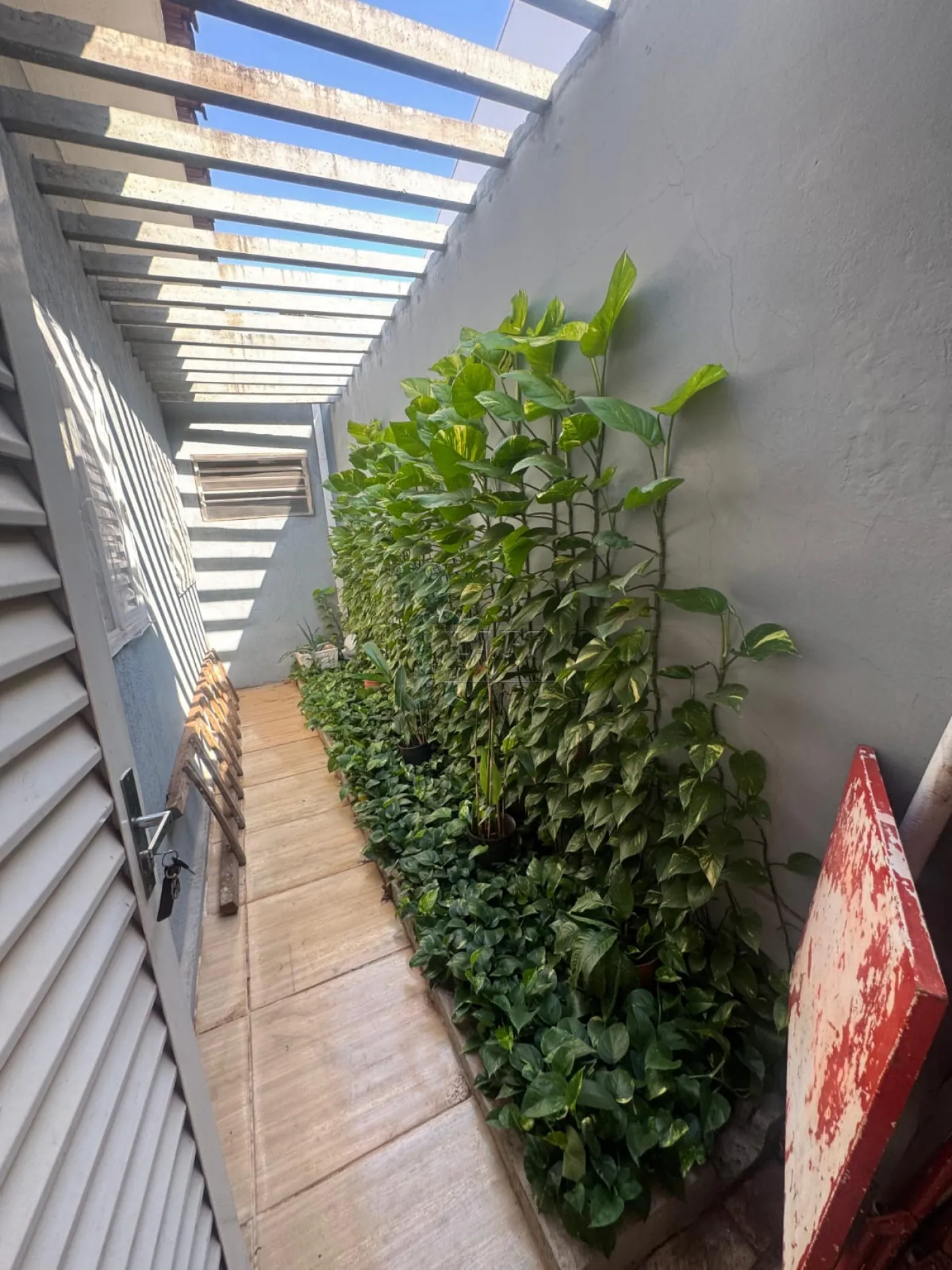 Comprar Casa / Padrão em Ribeirão Preto R$ 535.000,00 - Foto 15