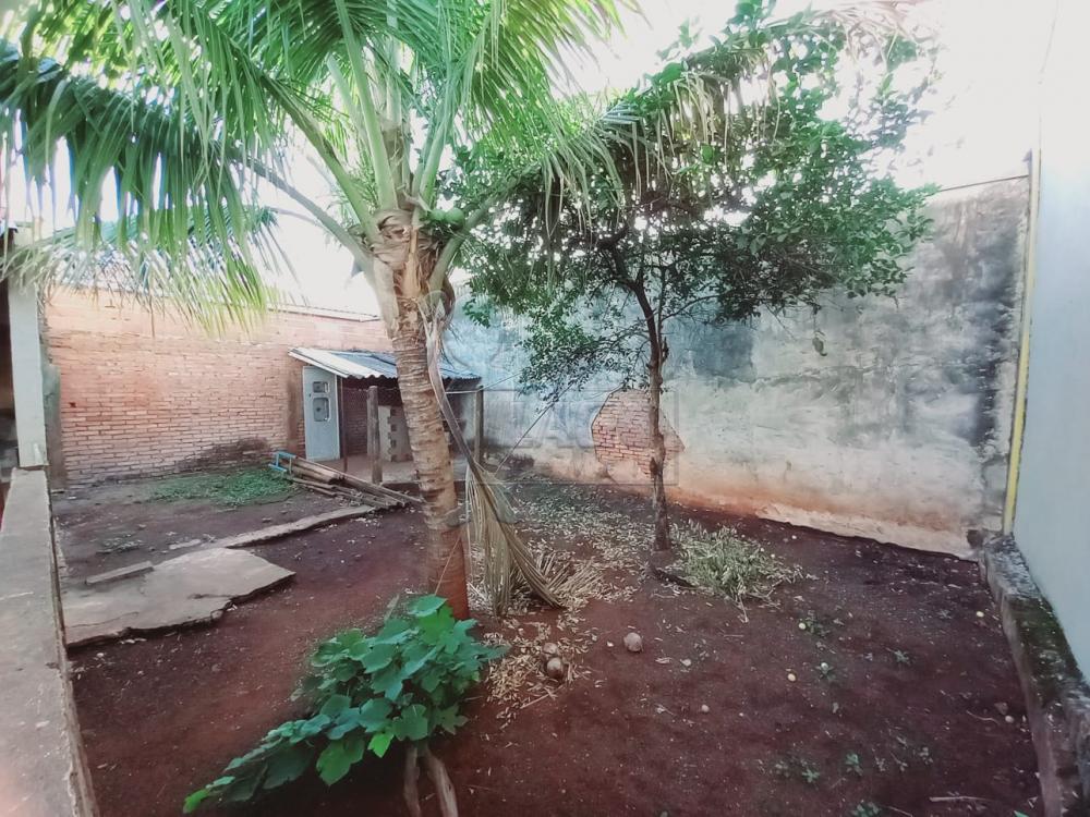 Alugar Casas / Padrão em Ribeirão Preto R$ 900,00 - Foto 19