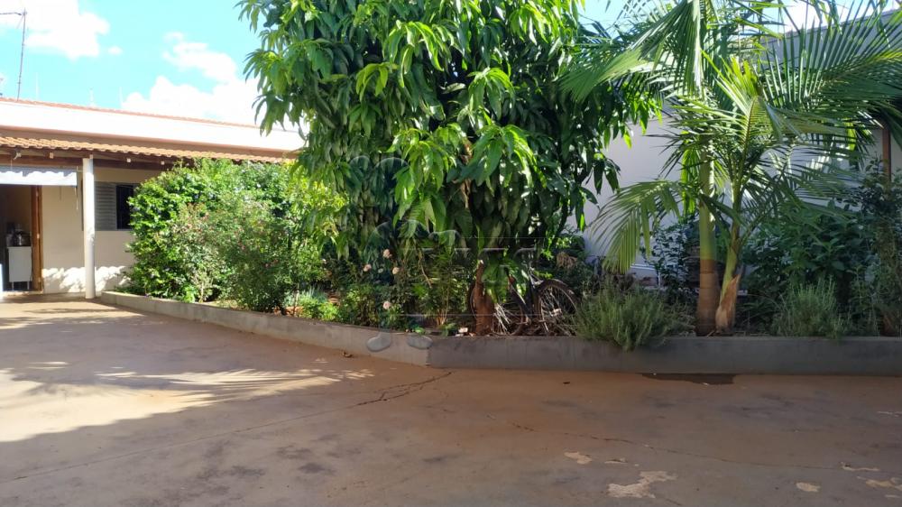 Comprar Casas / Padrão em Sertãozinho R$ 320.000,00 - Foto 11