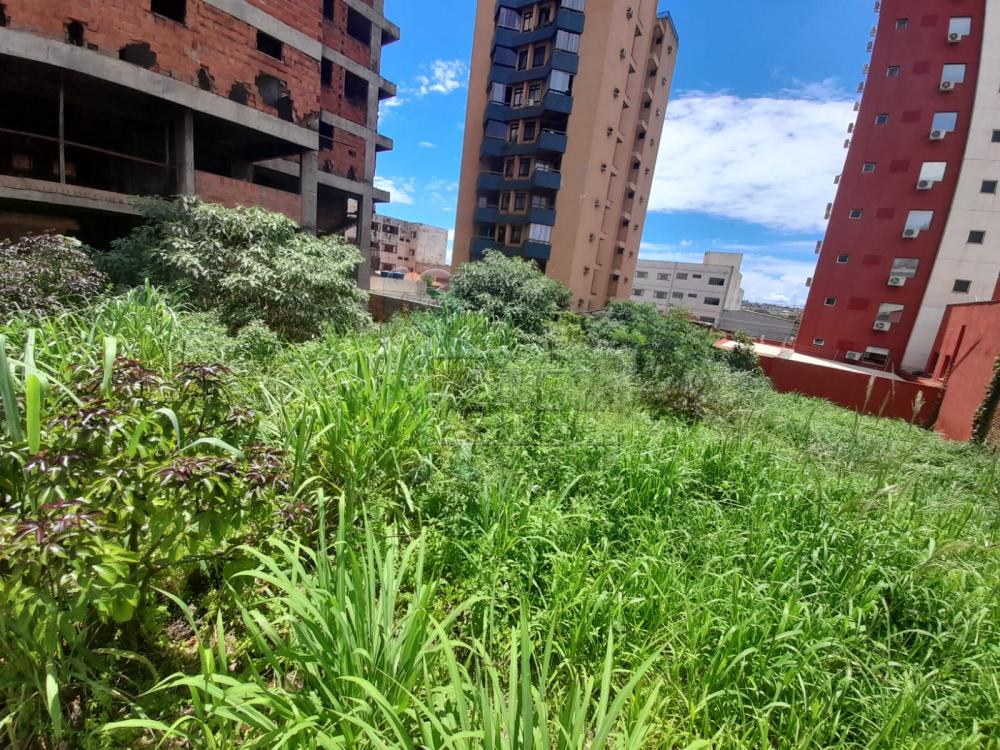 Alugar Terrenos / Padrão em Ribeirão Preto R$ 1.500,00 - Foto 1